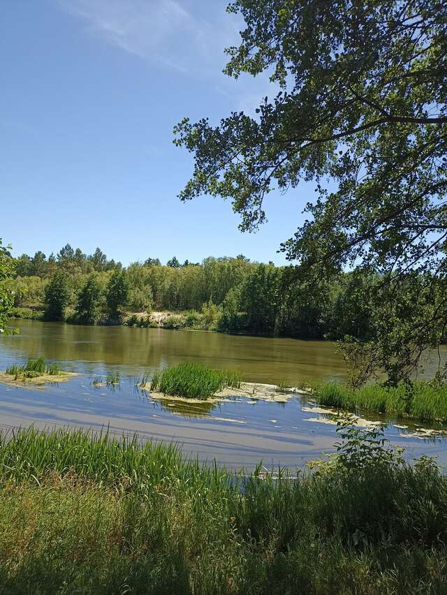 Гостиница Стоун Йошкар-Ола-234